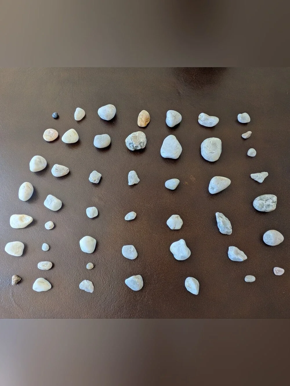 Lot #3 Neutral Colored Beach Stones/Pebbles  Home Decor